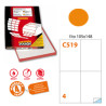 etichetta adesiva c/519 arancio fluo 100fg a4 105x148mm (4et/fg)
