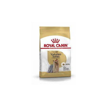 cibo per gatti royal canin yorkshire terrier adult 3kg