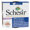 cibo umido agras pet foods schesir per gatti: tonnetto con alicette
