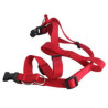 pettorale per cani il campo nylon 20mm 40/70cm 07645 [il campo]