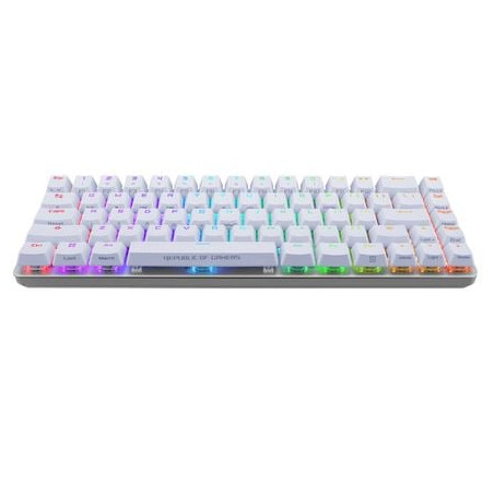 tastiera asus rog falchion ace gaming rgb bianco [90mp0346-bkia10]