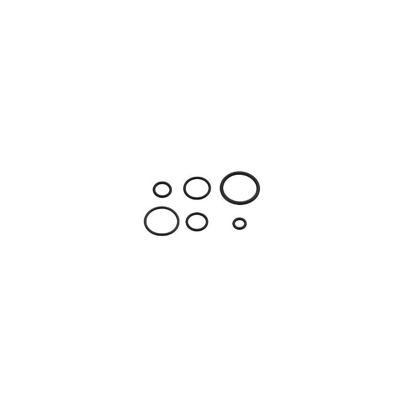 guarnizioni idro bric o ring teflon/simili