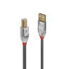 cavo lindy usb 2.0 tipo a a b 5m [36644]