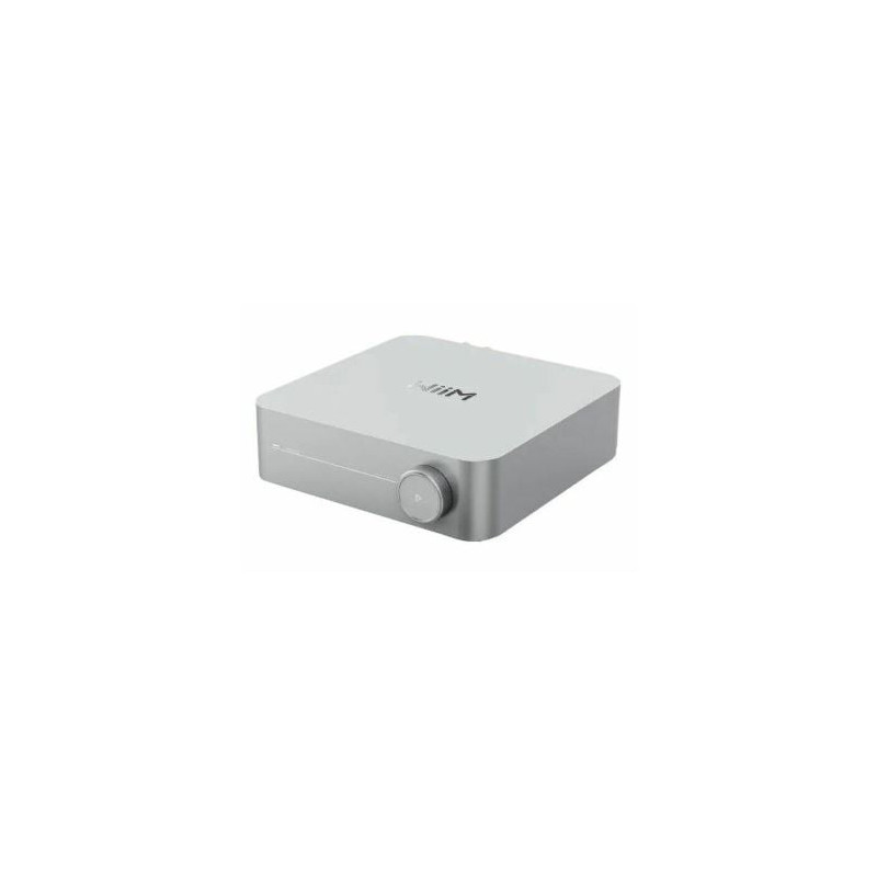 amplificatore wiim per stereo streaming 120w 2.1 canale argento [806080]