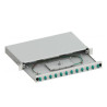 cassetto ottico techly sbp-12lcom3g 19'' con 12 prese