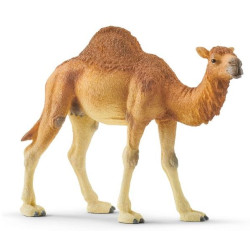 schleich wild life 14832 dromedar