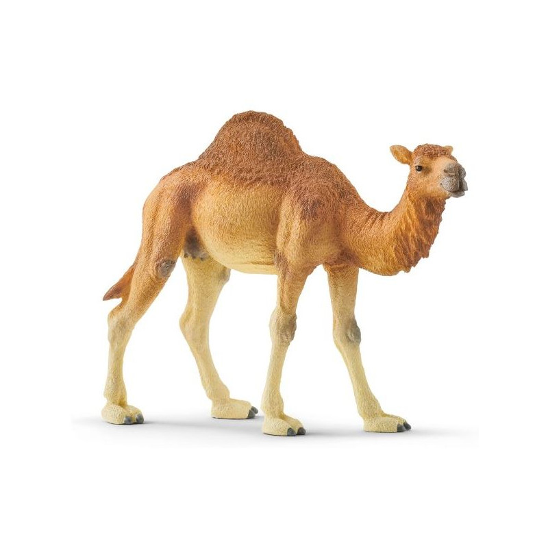 schleich wild life 14832 dromedar
