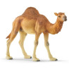 schleich wild life 14832 dromedar