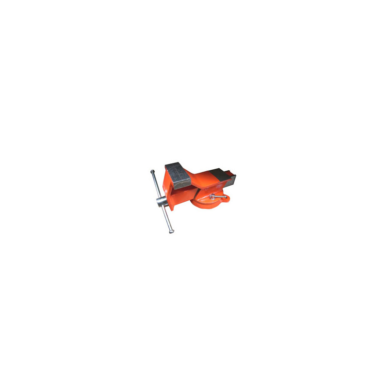 morsa acciaio girevole 125 doc 04503 [doc ]