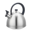 bollitore feel-maestro mr-1302 non elettrico 2.5l argento