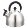 bollitore feel-maestro mr-1300 non elettrico 2l argento [hkfemczg0mr1300]