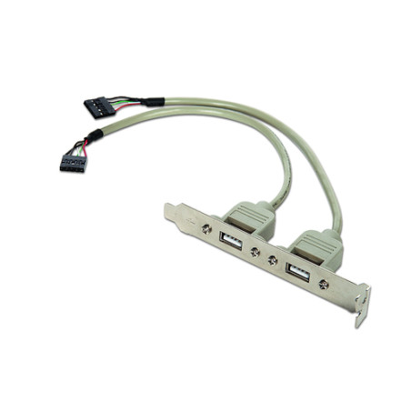 adattatore usb gembird ccusbreceptacle 10-pin 2x usb 2.0 grigio