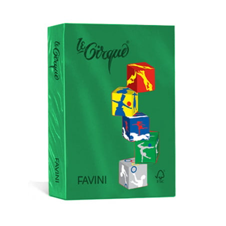 Carta in risma colorata favini 500 fogli a4 80gr lecirque verde bandiera