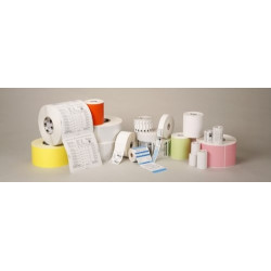 Etichette zebra 1000d 102x152mm [3005281-t]