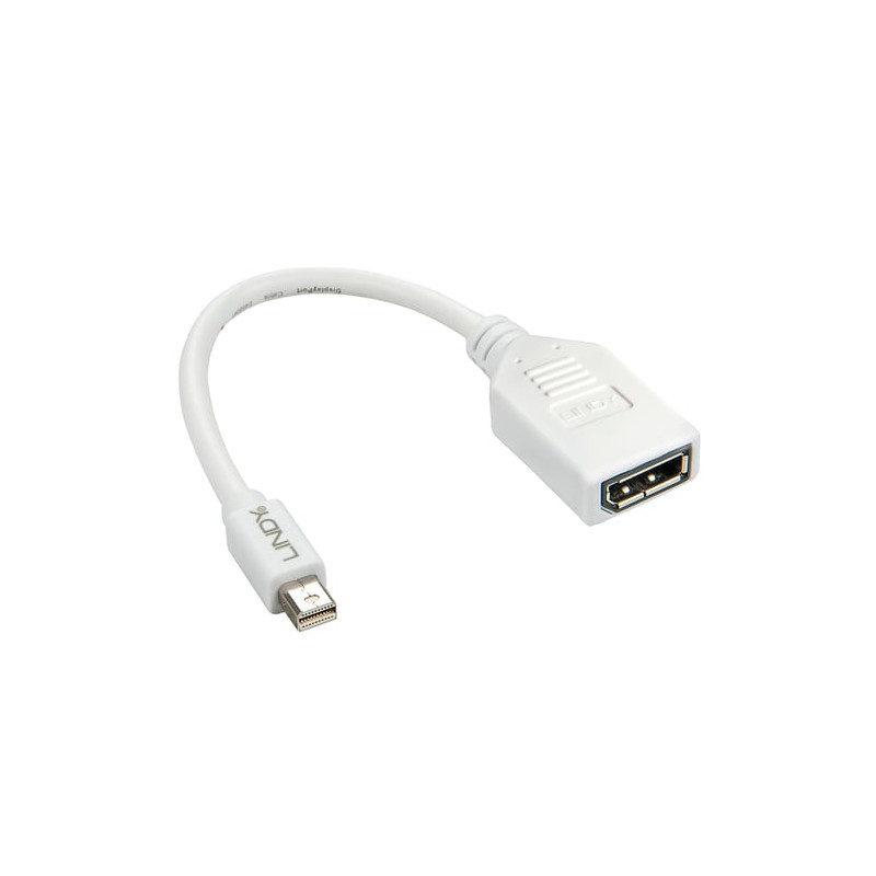 Adattatore lindy mini dispalyport a displayport m/f 15cm extern bulk