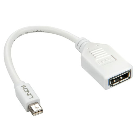 Adattatore lindy mini dispalyport a displayport m/f 15cm extern bulk