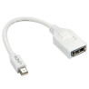 Adattatore lindy mini dispalyport a displayport m/f 15cm extern bulk