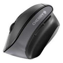 Mouse cherry 4500 wireless [jw-4500]