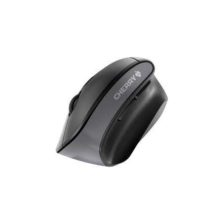 Mouse cherry 4500 wireless [jw-4500]