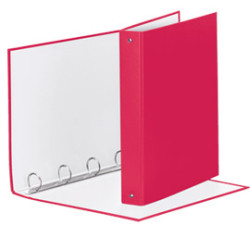 Raccoglitore meeting 30 a4 4r in ppl fucsia esselte [395792900]