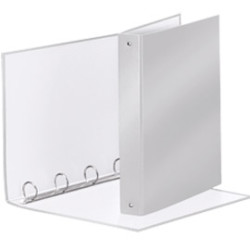 Raccoglitore meeting 30 a4 4r in ppl grigio metal esselte [395792970]