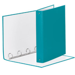 Raccoglitore meeting 30 a4 4r in ppl turchese esselte [395792800]