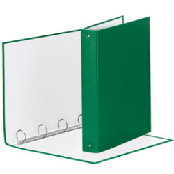 Raccoglitore meeting 30 a4 4r in ppl verde esselte [395792600]