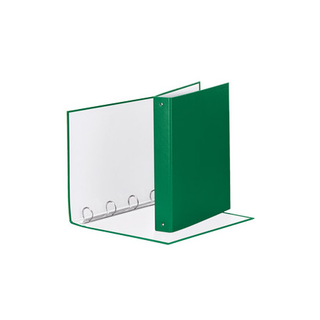 Raccoglitore meeting 30 a4 4r in ppl verde esselte [395792600]