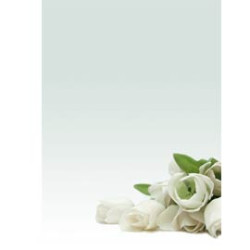 Carta con stampa "rosa bianca'" a4 90gr 20fg decadry