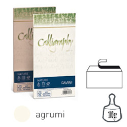 Buste nature calligraphy 110 x 220 mm - agrumi - 25 pz. -