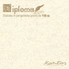 Blister 10 diplomi pergamena 210x297mm 160gr neutro avorio kartos