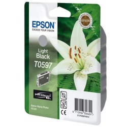 Cartuccia epson nero light photo r2400 blister rs [c13t05974010]
