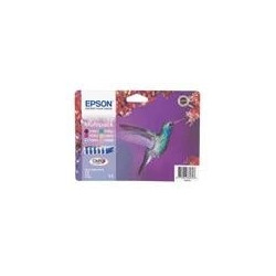 Cartuccia epson multipack 080 6 cartucce nero giano magenta giallo