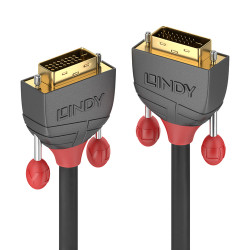 Cavo lindy dvi-d dual link anthra line m/m 2m [36222]