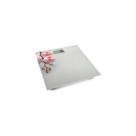 Bilancia pesapersone esperanza elettronica max 180kg orchidea grigio