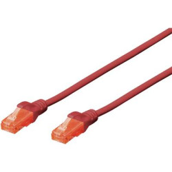 Cavo di collegamento rj45 rete cat 6 u/utp 0.25 m rosso privo di