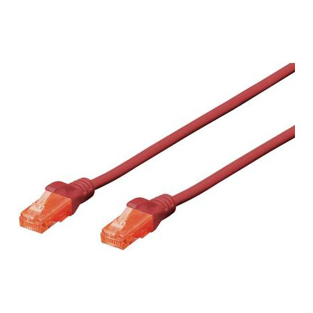 Cavo di collegamento rj45 rete cat 6 u/utp 0.25 m rosso privo di