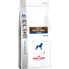 Cibo per cani royal canin vet dry gastro intestinal junior 2,5kg