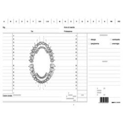 100 schede per dentisti 17x24cm verde e3529 edipro [e3529]