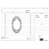 100 schede per dentisti 17x24cm verde e3529 edipro [e3529]