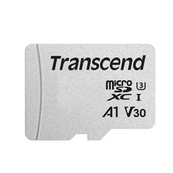 4gb scheda microsdhc transcend 300s class 10 [ts4gusd300s]