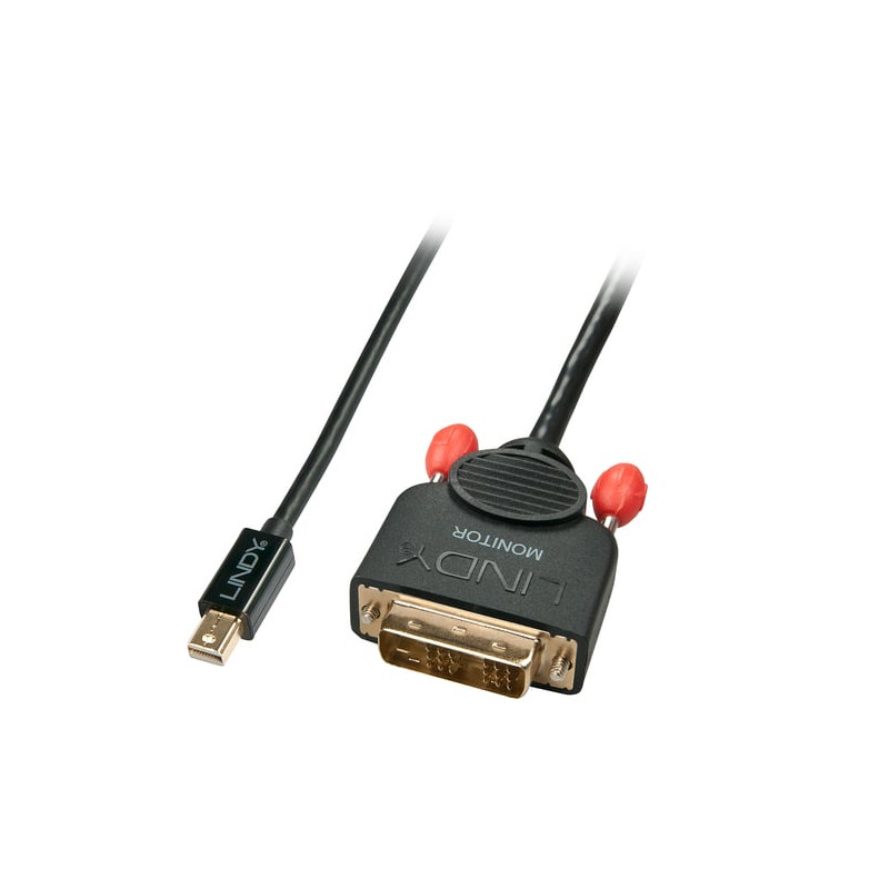 cavo lindy mini-displayport a dvi-d nero 2m [41952]