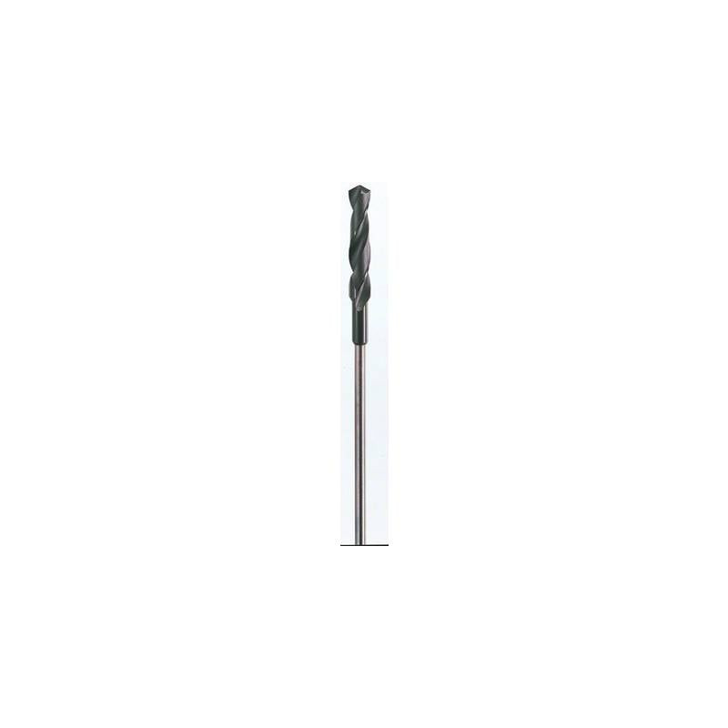 Punta per casseforme 16 mm lunghezza totale 600 mm bosch accessories