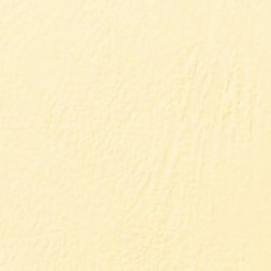 100 copertine leathergrain 250gr a4 avorio goffrato [ce040065]