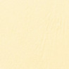 100 copertine leathergrain 250gr a4 avorio goffrato [ce040065]
