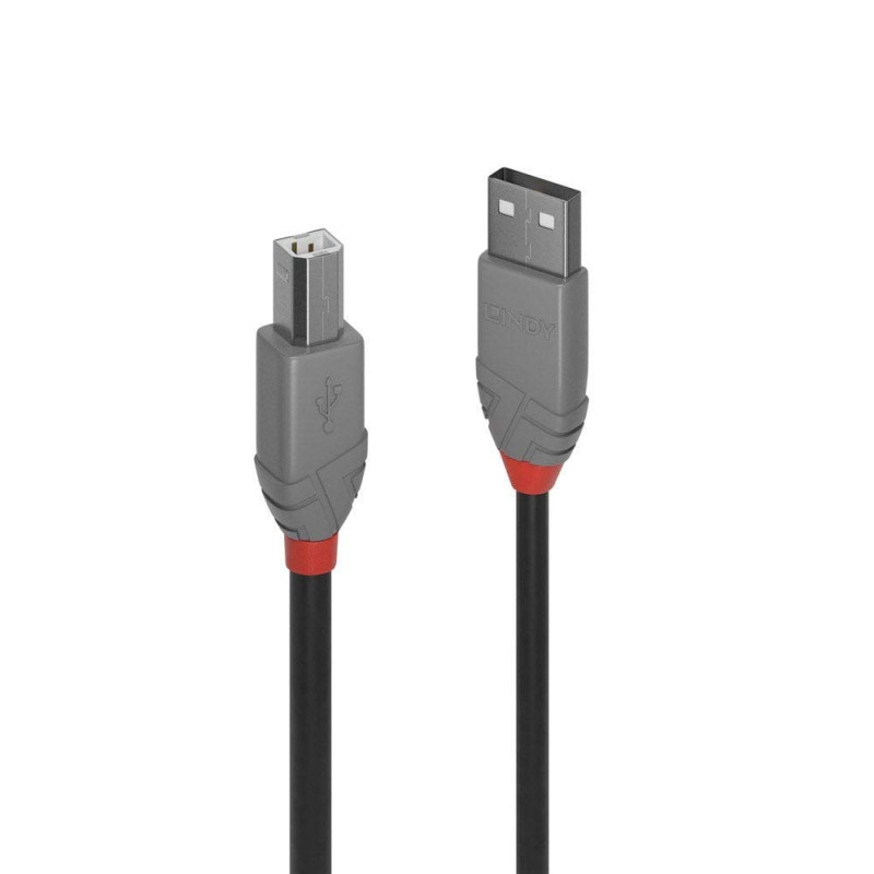 Cavo lindy usb 2.0 tipo a a b 2m [36673]