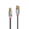 Cavo lindy usb 2.0 tipo a a b 3m [36643]
