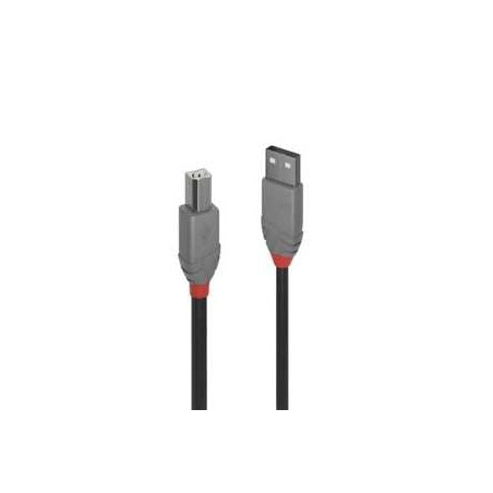 Cavo lindy usb 2.0 tipo a a b 3m [36674]