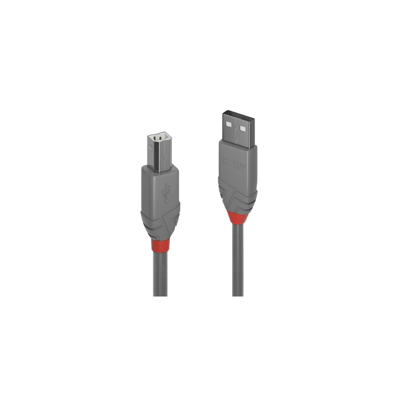 Cavo lindy usb 2.0 tipo a a b 3m [36684]