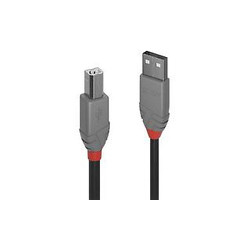 Cavo lindy usb 2.0 tipo a a b 0,5m [36671]